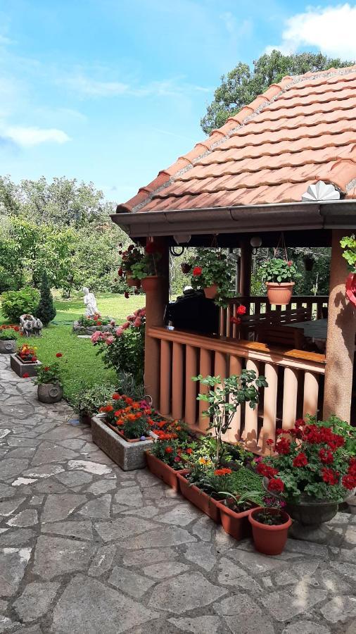 Apartmani "Dukic" Pelinovo Esterno foto