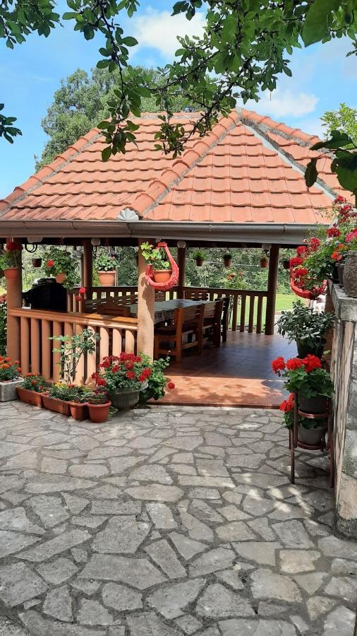Apartmani "Dukic" Pelinovo Esterno foto