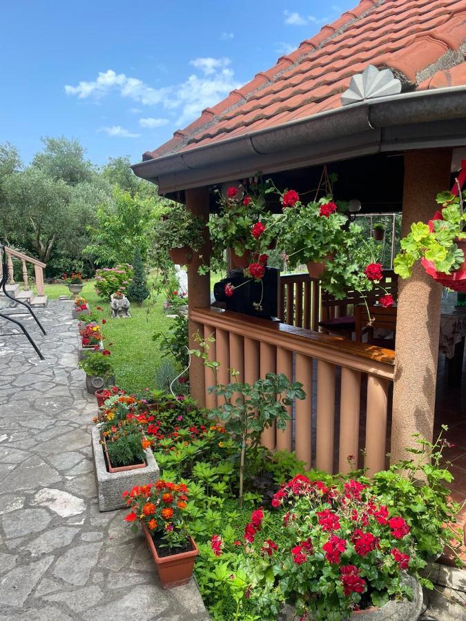 Apartmani "Dukic" Pelinovo Esterno foto