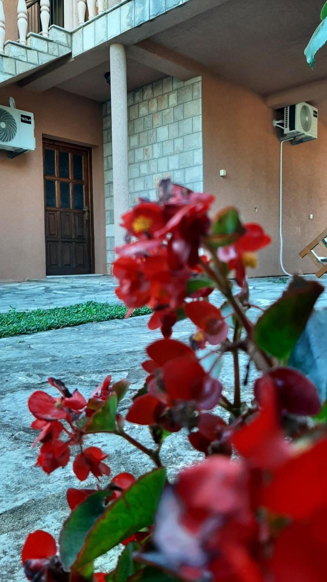 Apartmani "Dukic" Pelinovo Camera foto
