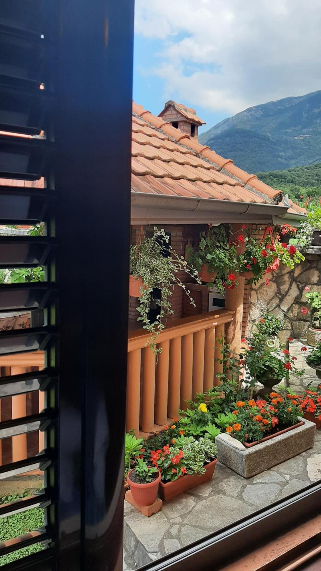 Apartmani "Dukic" Pelinovo Camera foto