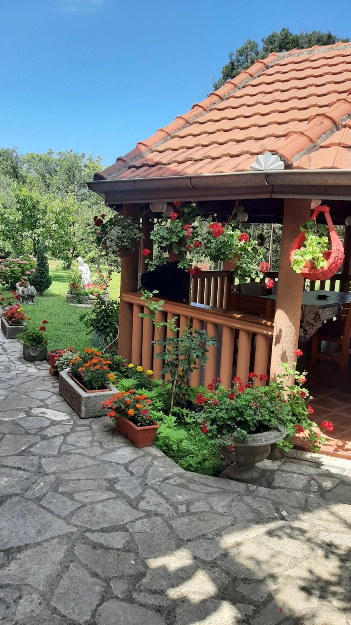 Apartmani "Dukic" Pelinovo Camera foto