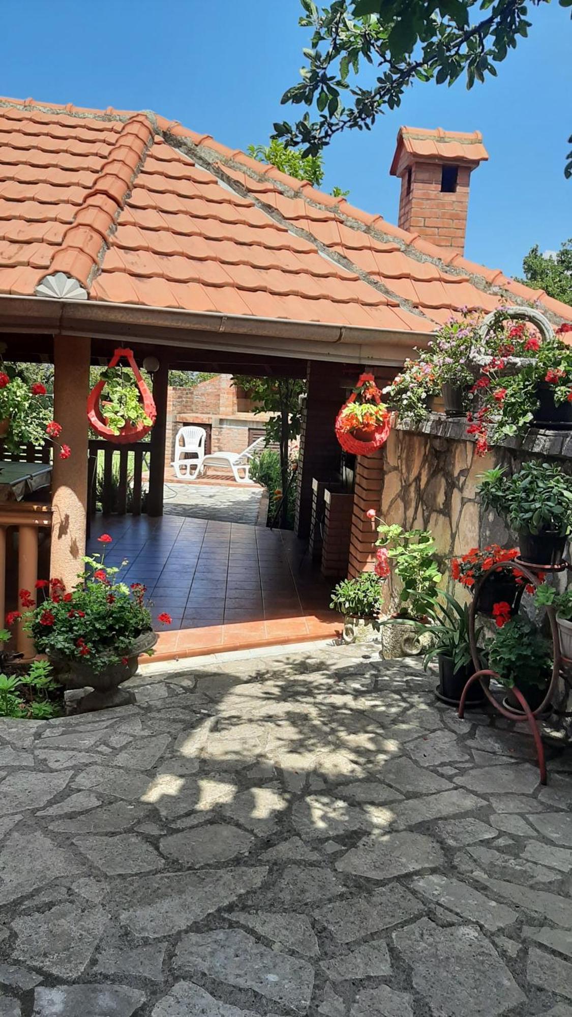 Apartmani "Dukic" Pelinovo Camera foto