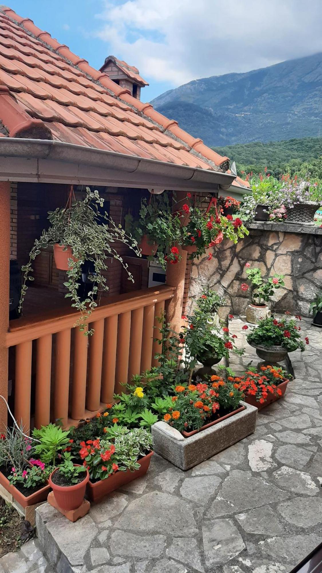 Apartmani "Dukic" Pelinovo Camera foto