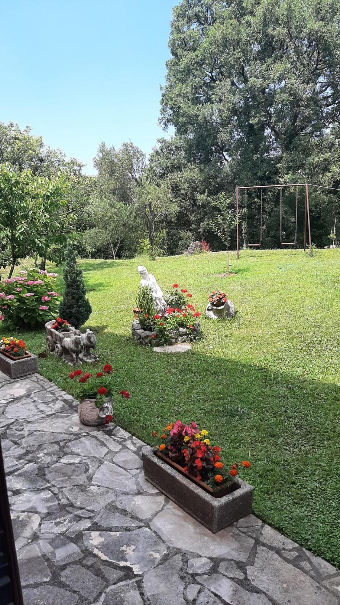 Apartmani "Dukic" Pelinovo Camera foto