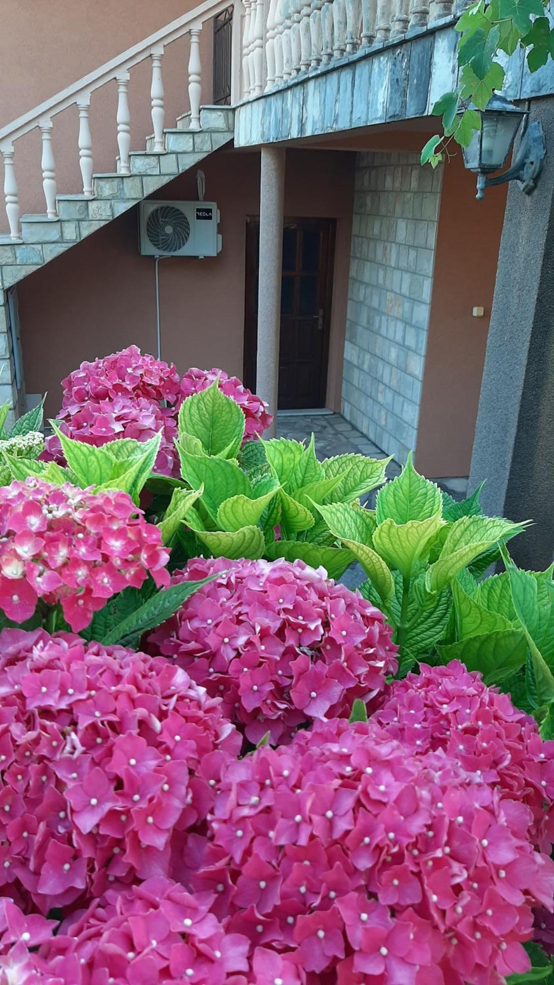 Apartmani "Dukic" Pelinovo Camera foto