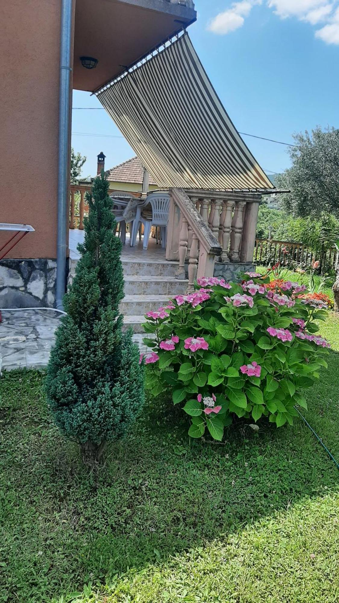 Apartmani "Dukic" Pelinovo Camera foto