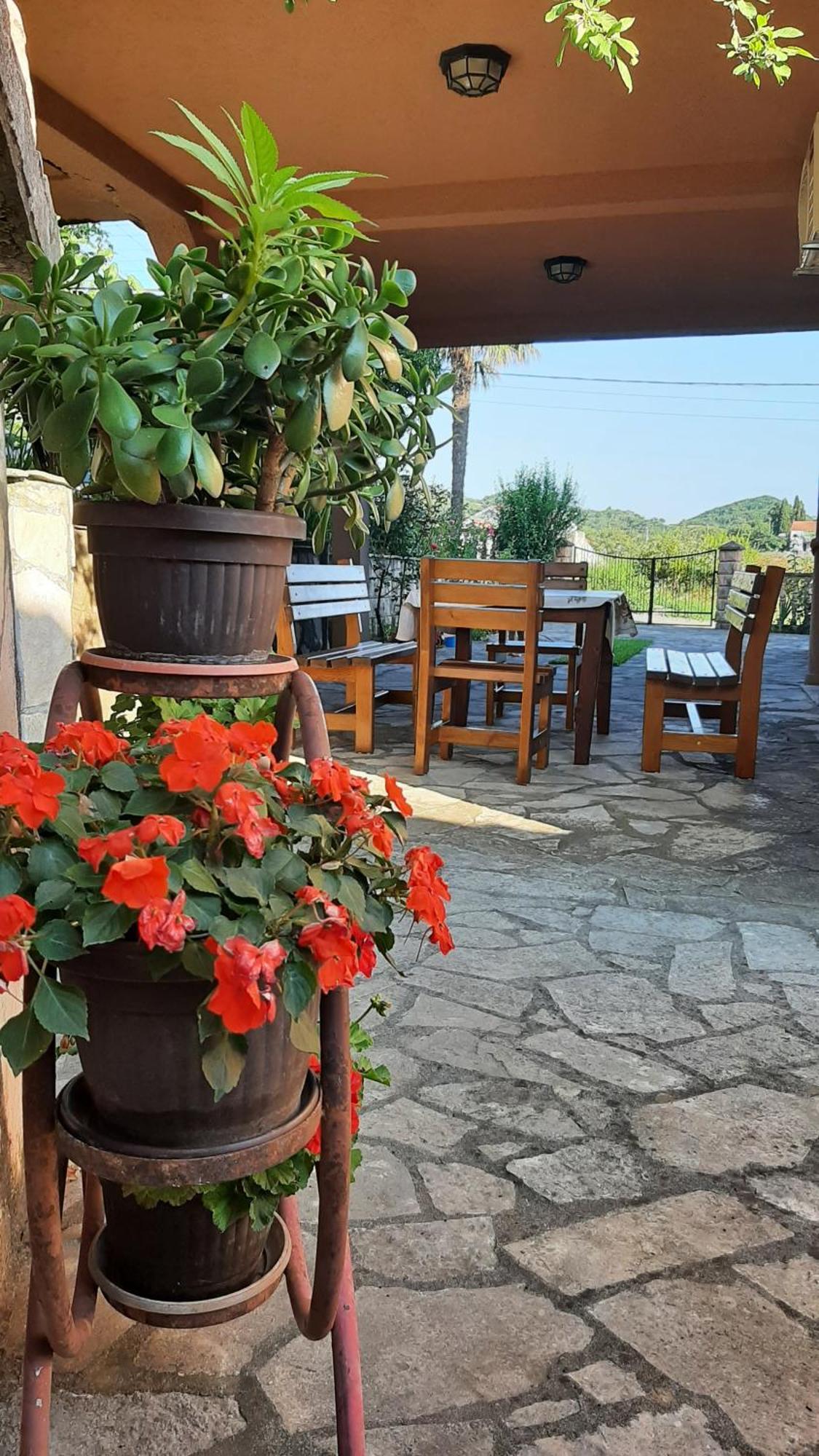 Apartmani "Dukic" Pelinovo Camera foto